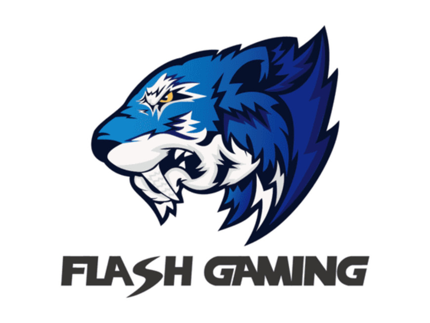 Fashion Flash Gaming 