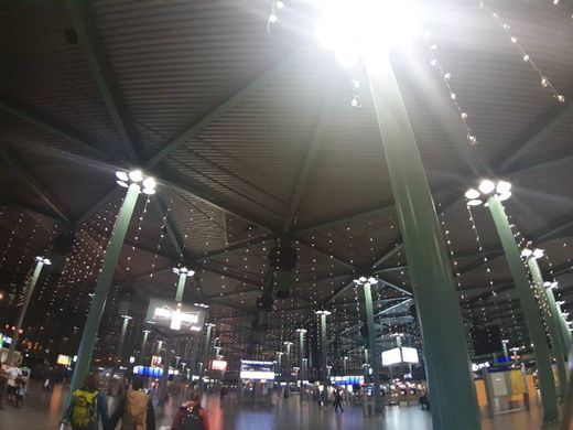 Aeropuerto de Ámsterdam-Schiphol (AMS)