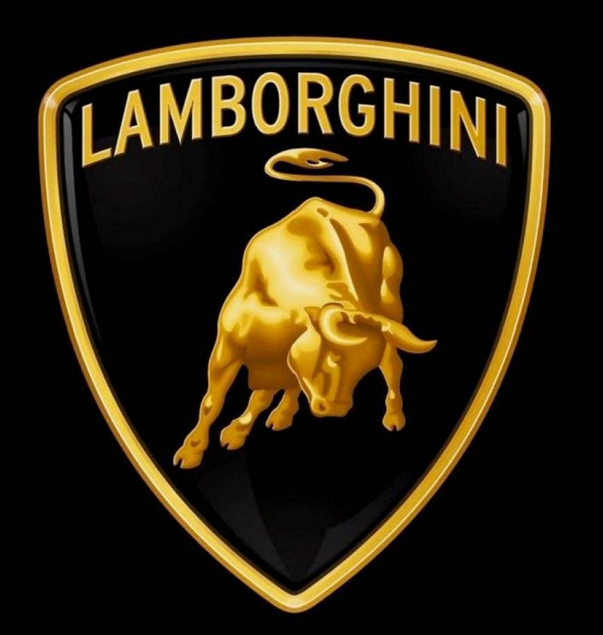 Fashion Lamborghini