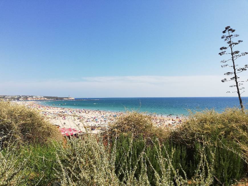 Place Praia da Rocha