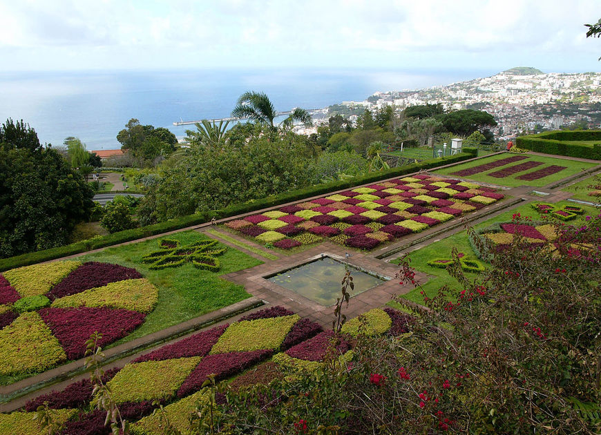 Lugar Jardín Botánico de Madeira