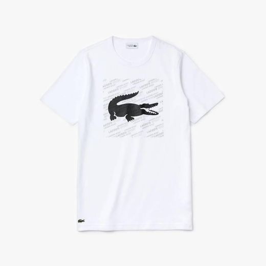 T-shirt de algodão com estampado de crocodilo lacoste 