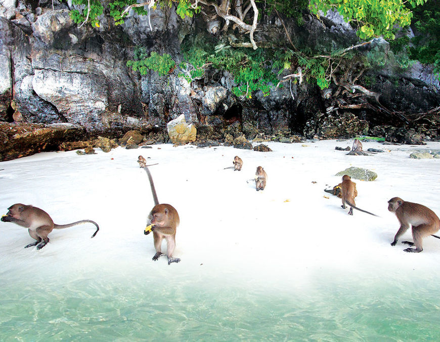 Lugar Monkey Beach