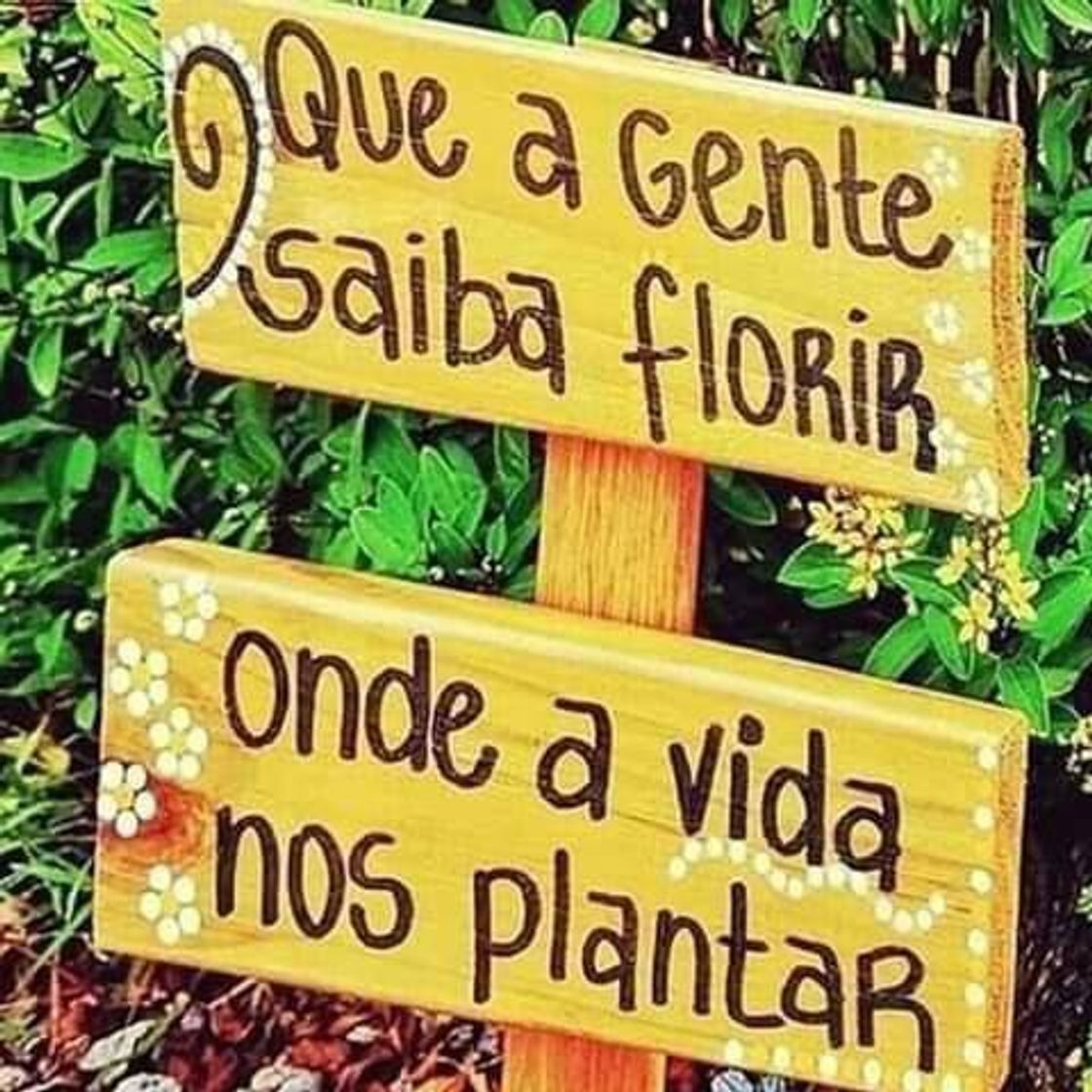 Social Motivação 