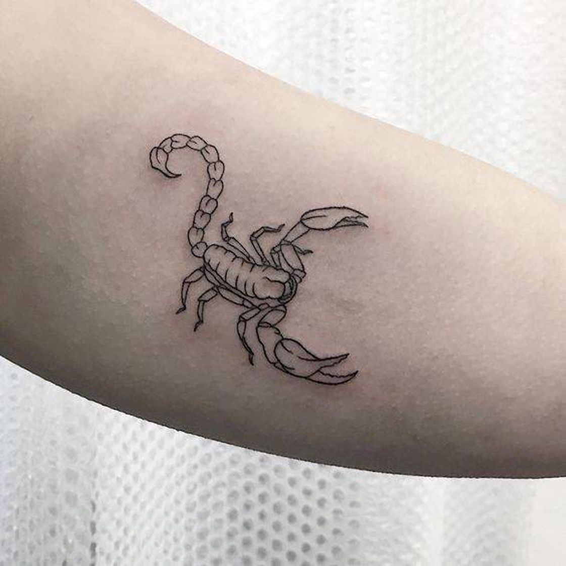 Fashion Tattoo escorpião