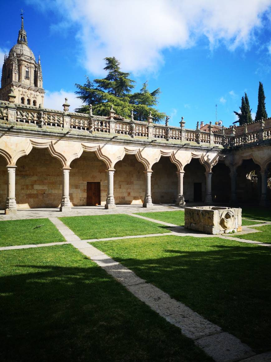 Places Universidad de Salamanca 