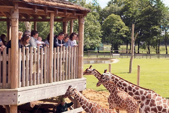 Place Whipsnade Zoo