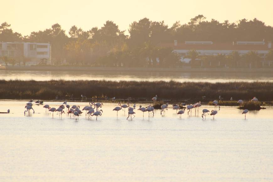 Lugares Ria de Aveiro