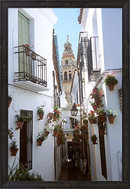 Lugar Calleja de las Flores