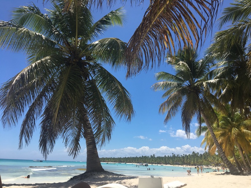 Place Isla Saona