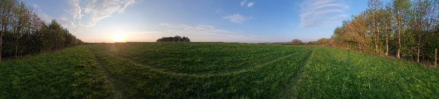 Lugar McLaren Park