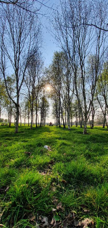 Lugar McLaren Park