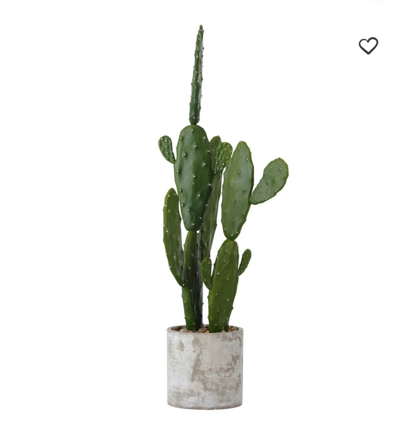 Social 
Cactus artificial con maceta de cemento gris