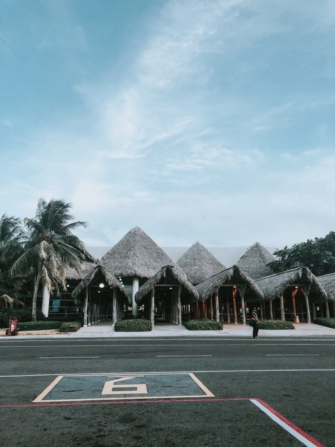 Place Punta Cana International Airport