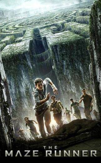 The Maze Runner