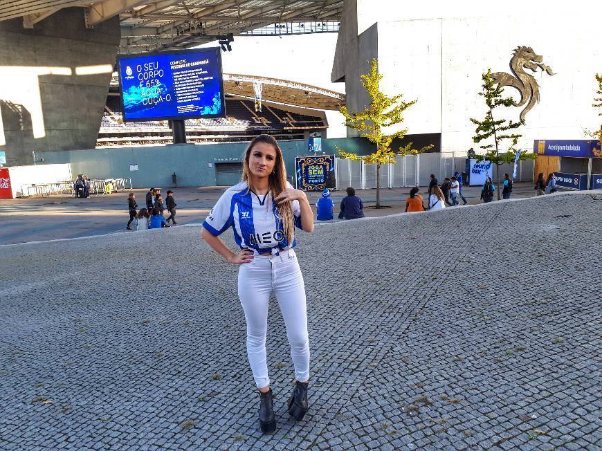 Estádio do Dragão
