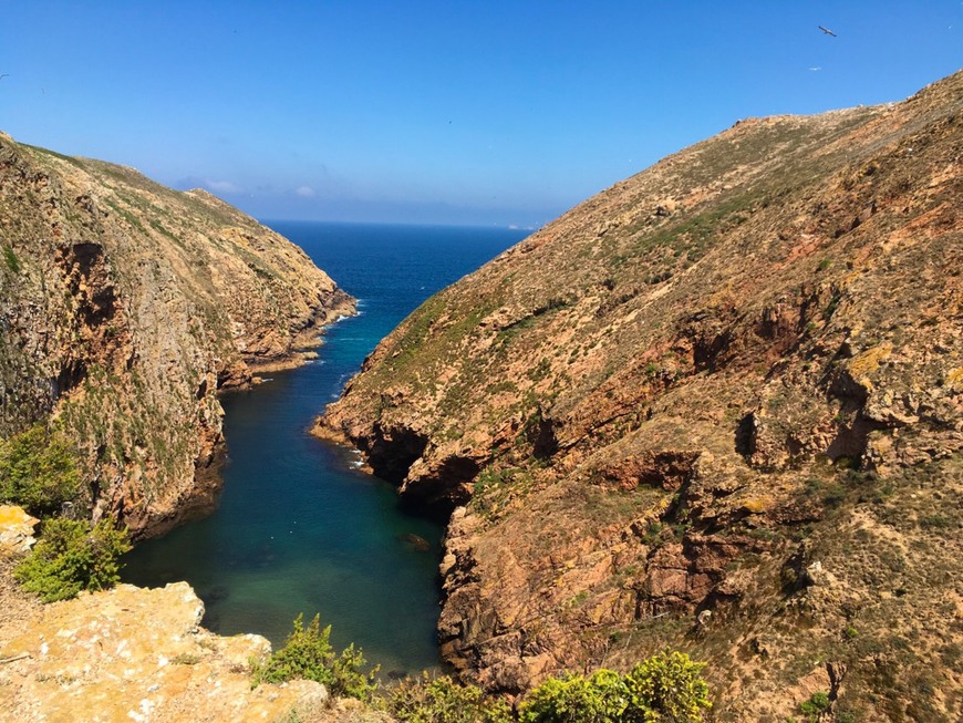 Place Arquipélago das Berlengas 