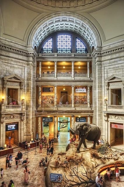 Lugar American Museum of Natural History