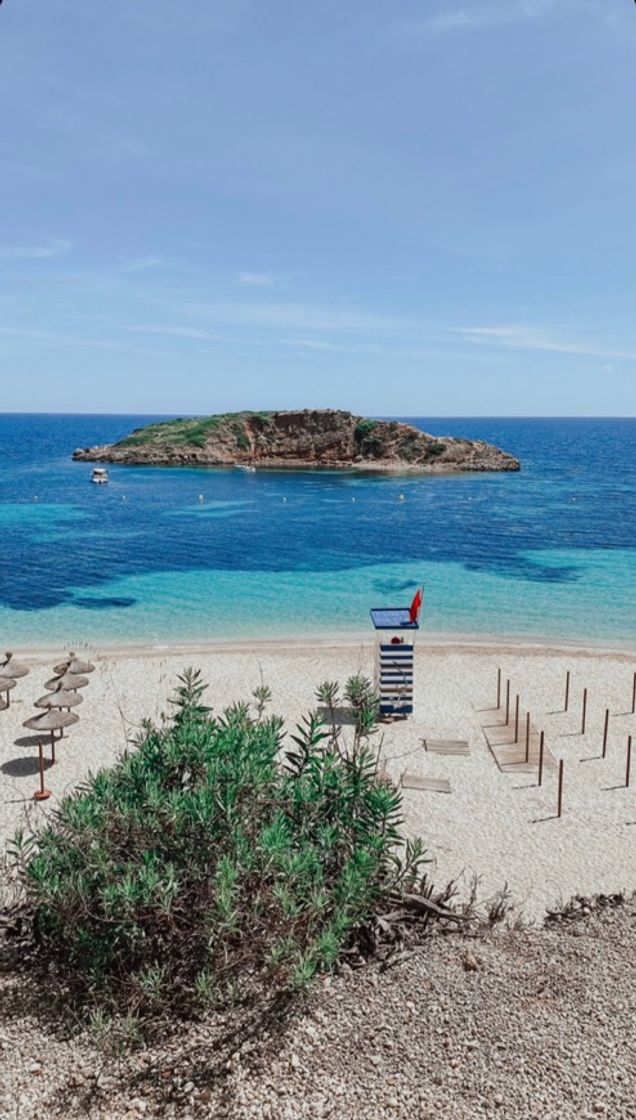 Place Playa Portals Nous Mallorca
