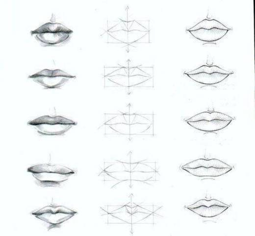 Tipos de lábios 