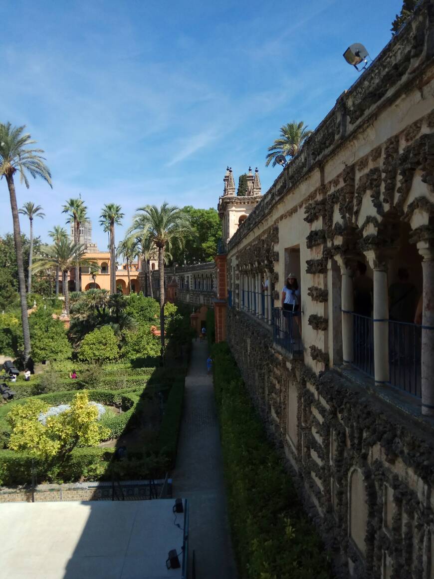 Lugar Real Alcázar de Sevilla
