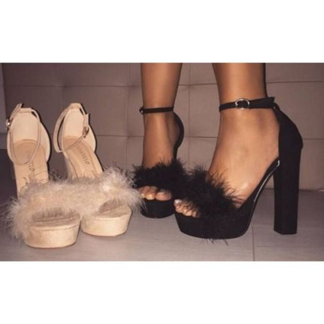 Social Heels 