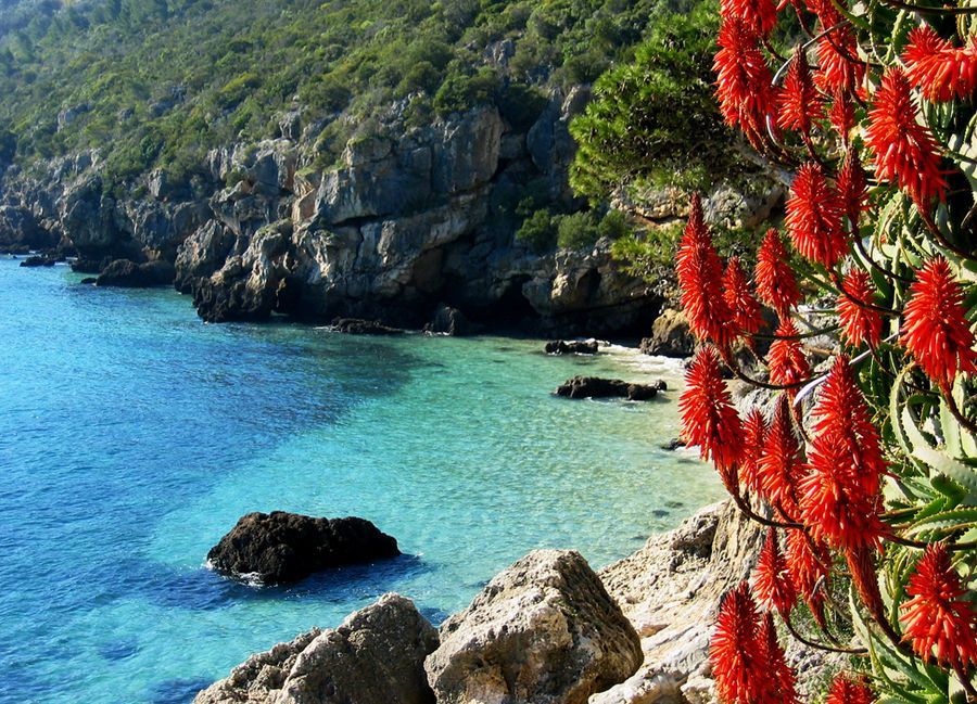 Lugar Parque natural de la Arrábida