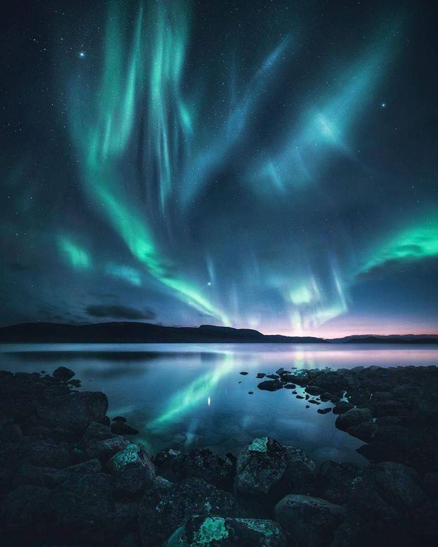 Social Aurora