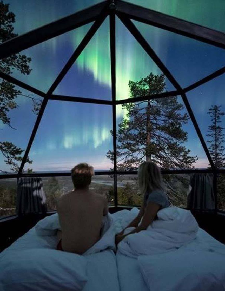 Social Boreal