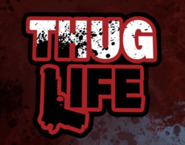 Videojuegos Thug Life