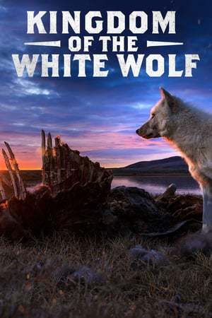 Serie El Reino de el Lobo Blanco