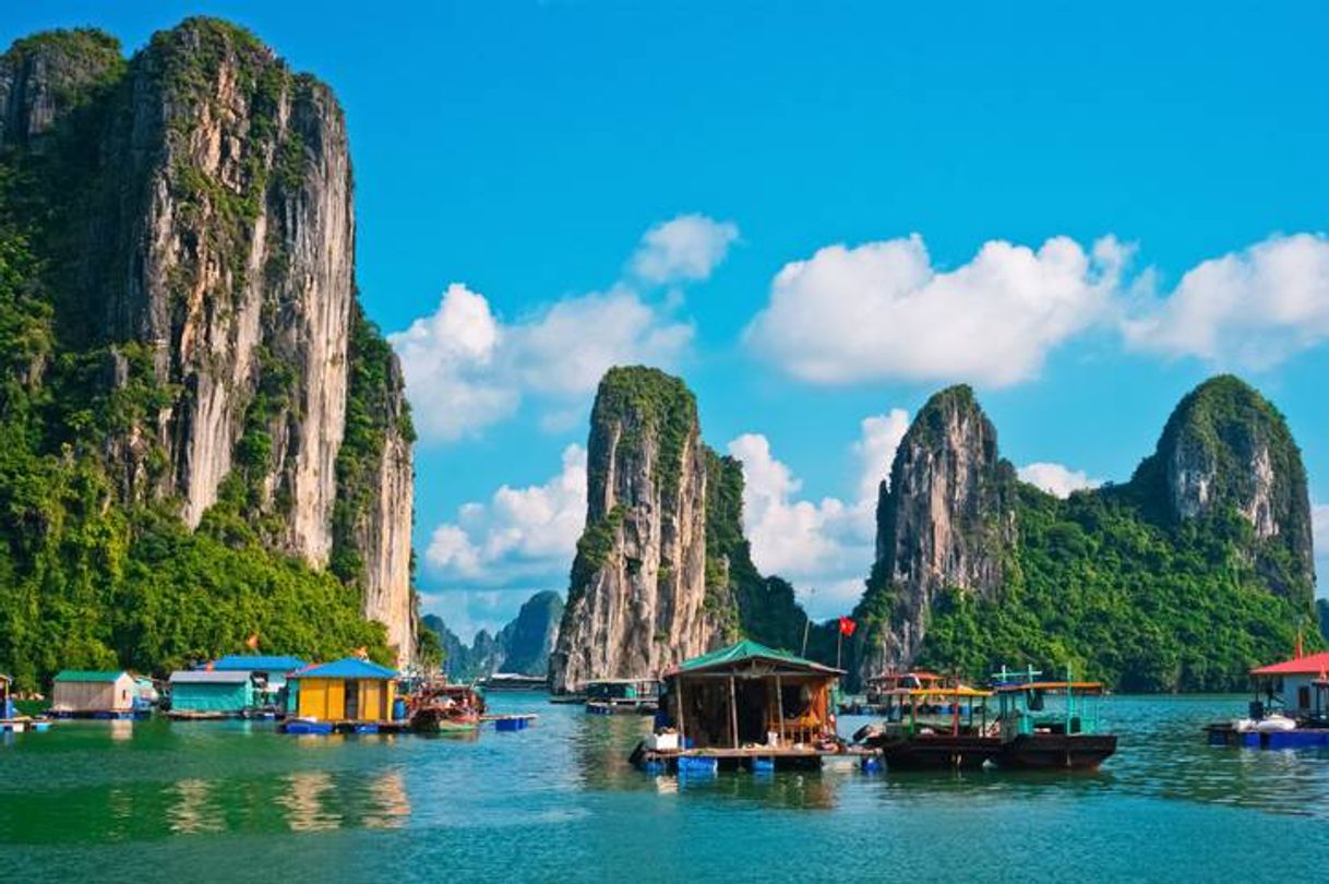 Lugar Vietnam
