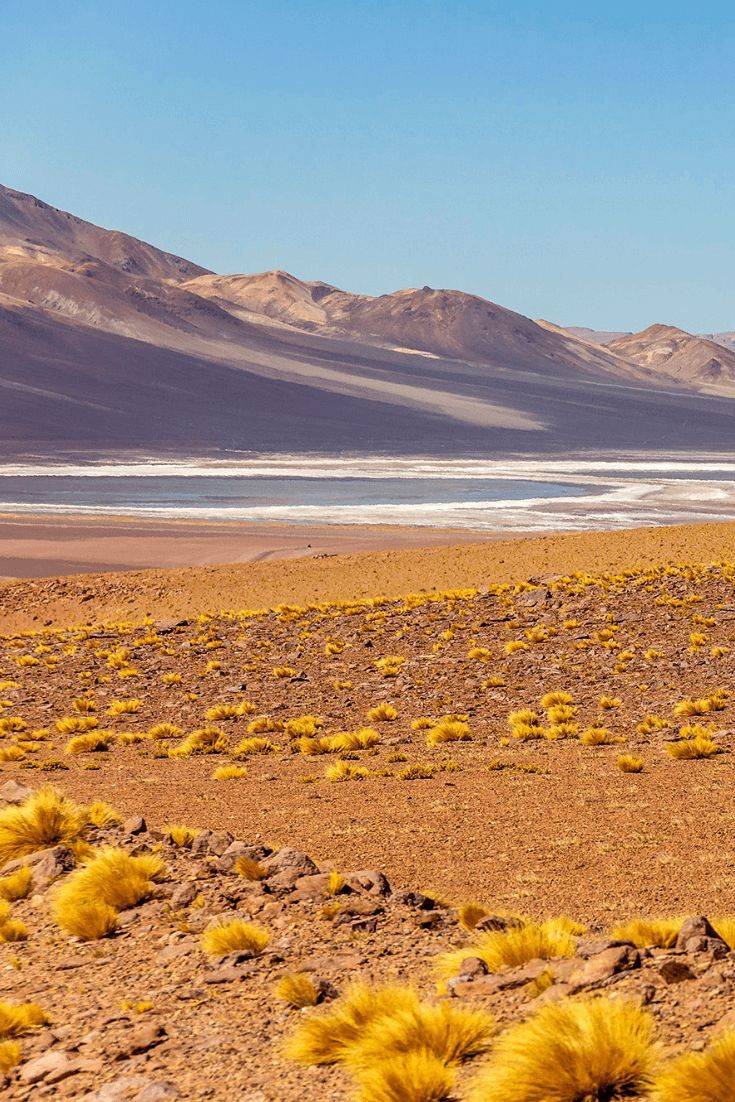 Deserto de Atacama , Chile 🇨🇱