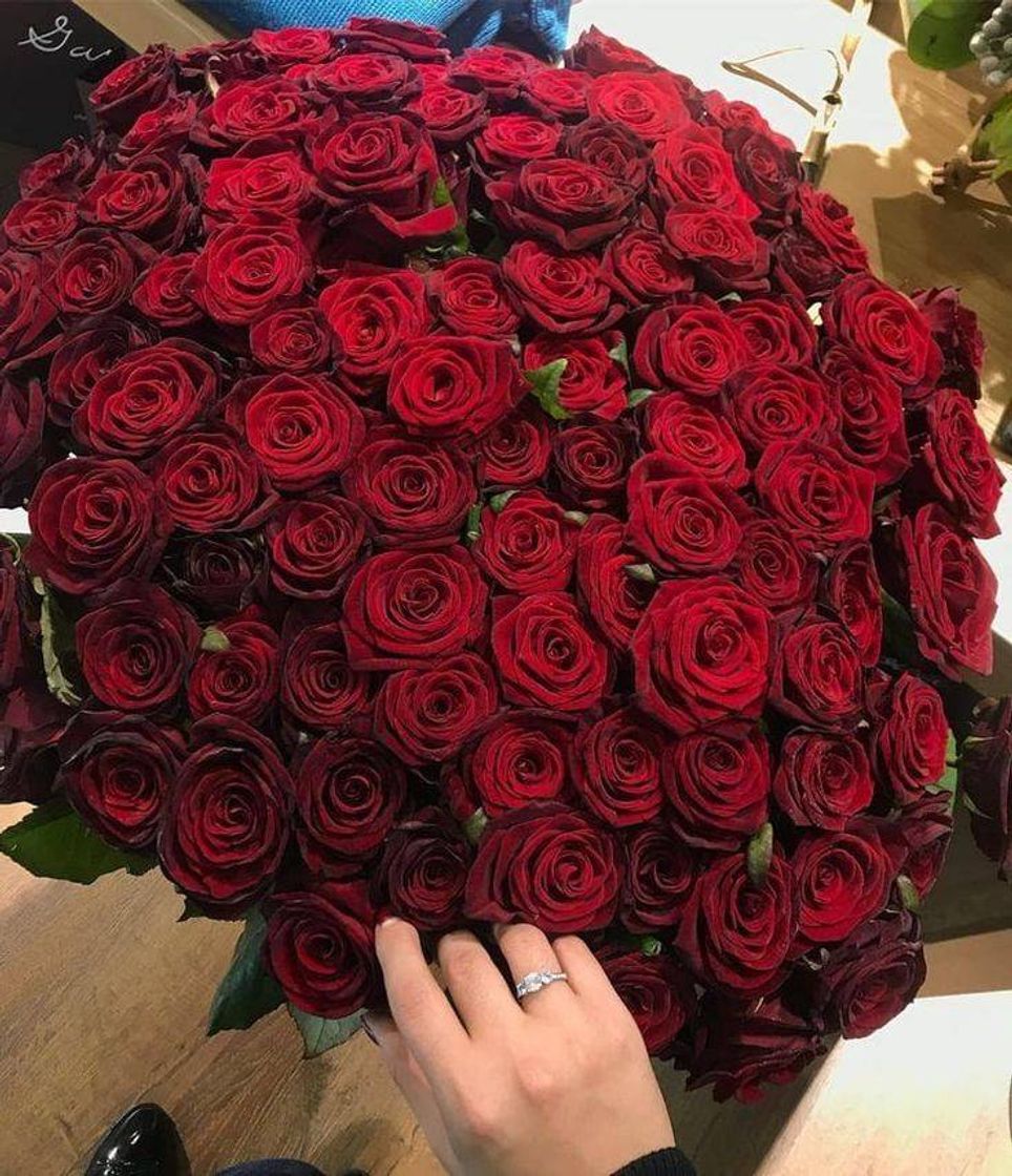 Social ROSAS 🌹