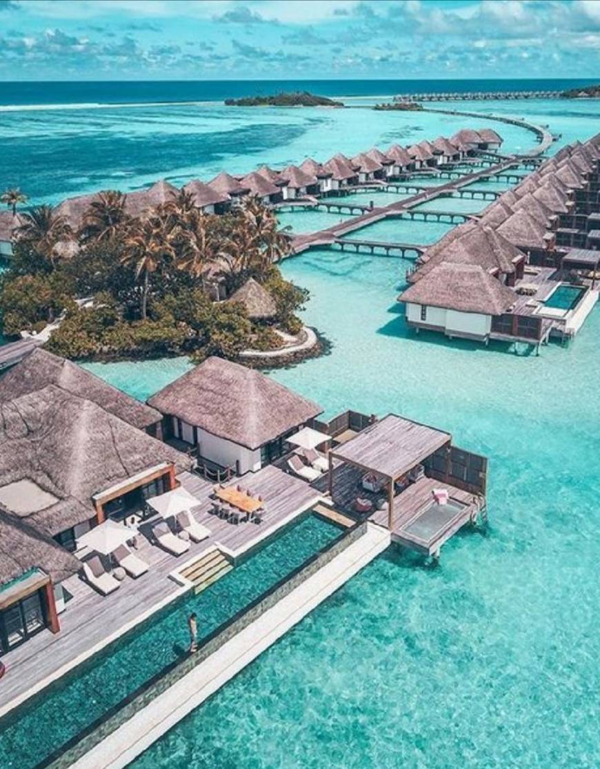 Lugar Maldive Islands