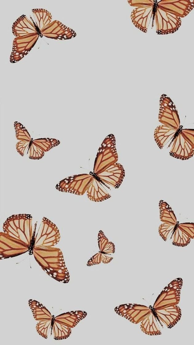 Fashion Wallpaper de borboleta 🦋 