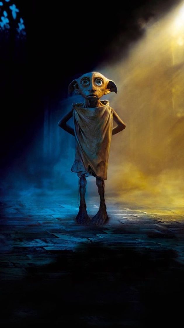 Fashion Foto do Dobby 