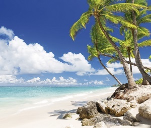 Social Dominicana Tours 