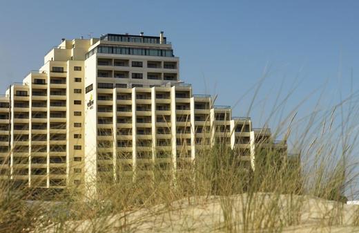 Yellow Monte Gordo 