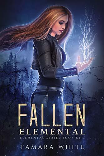 Book Fallen Elemental: A Reverse Harem Story