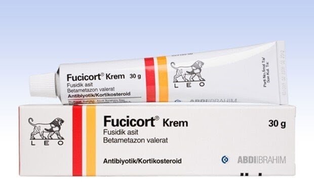 Social Fucicort