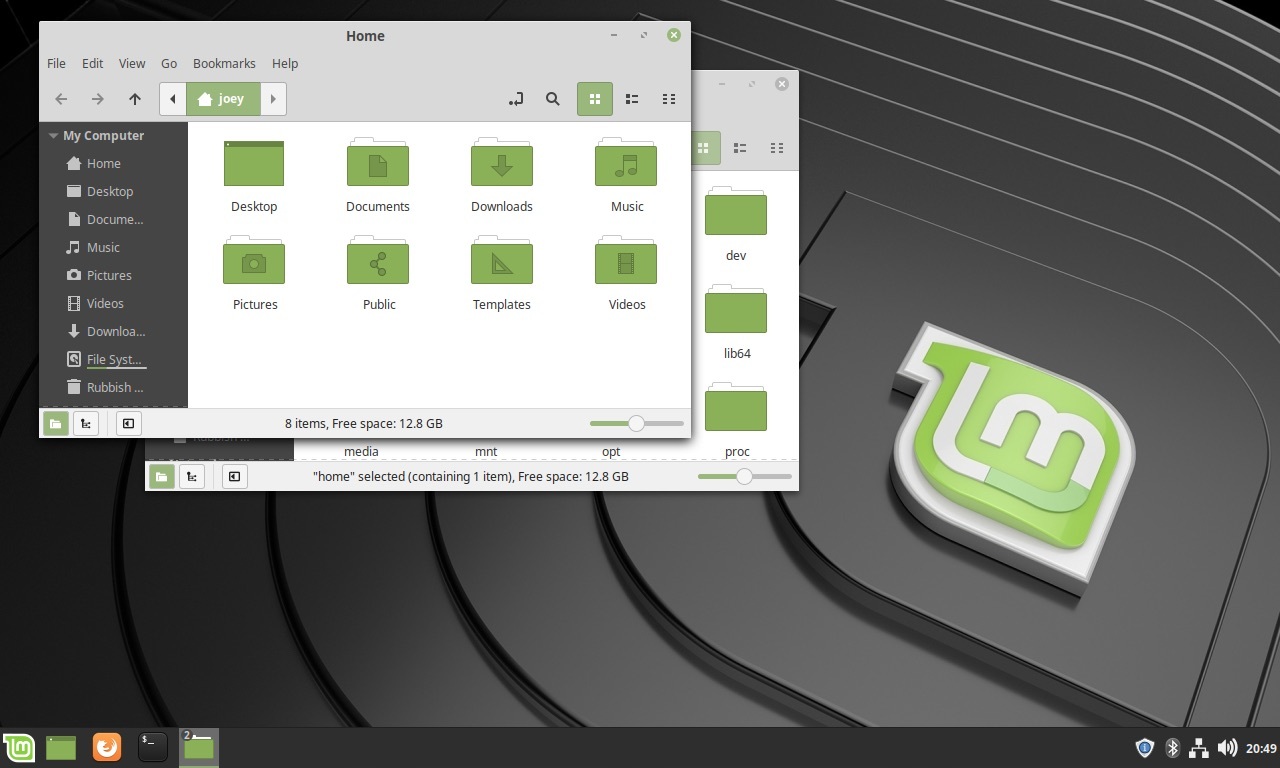 Fashion Linux mint