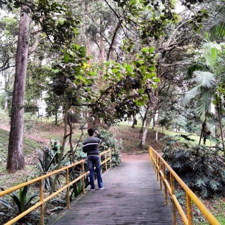 Places Parque Chácara Silvestre