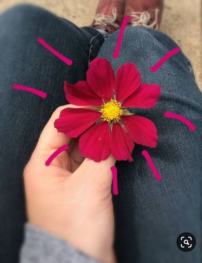 Tumblr com Flores - 