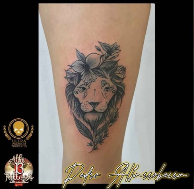 Moda Meu leao 🦁