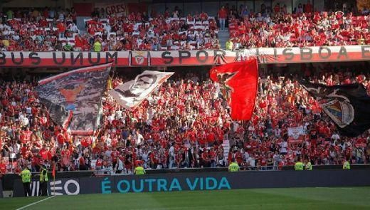 Moda Claque do benfica 