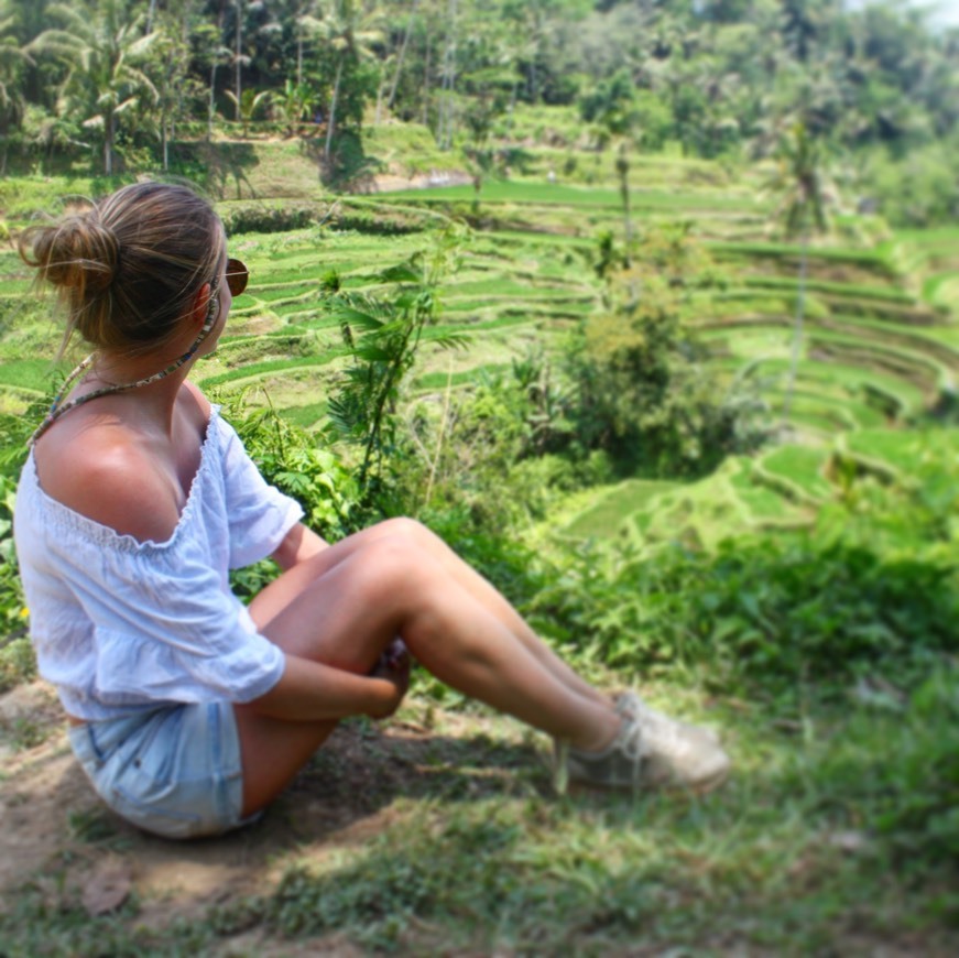 Place Tegallalang Rice Terrace