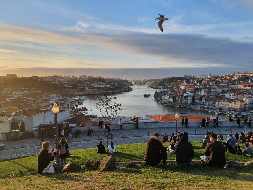 Lugar Jardim do Morro