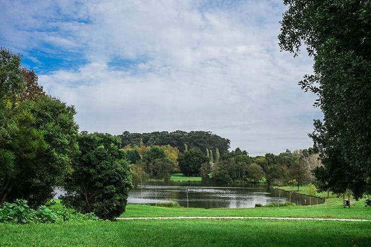 Lugar Parque Cidade