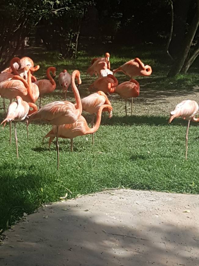 Place Jardim Zoológico de Lisboa